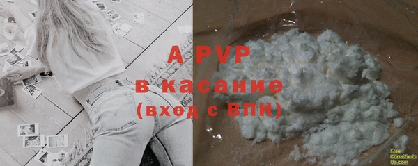 apvp Алексин