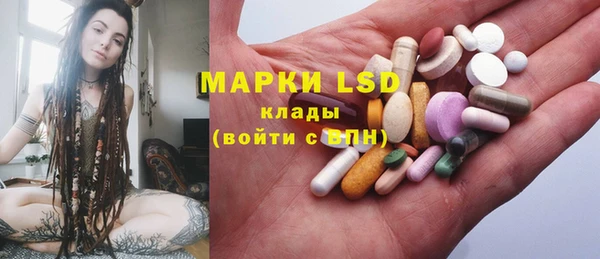 apvp Алексин
